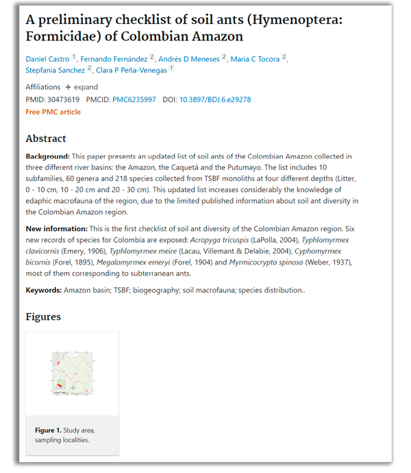 <div> <p><b>A preliminary checklist of soil ants (Hymenoptera: Formicidae) of Colombian Amazon</b></p><br> <p>Es la lista más completa de hormigas de la Amazonia colombiana hasta ahora existente.</p><br> </div>