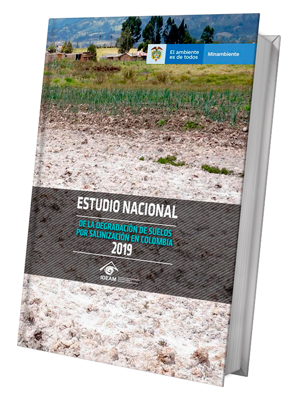 <div><p><b>Estudio Nacional de Degradación de Suelos por Salinización en Colombia</b></p> <p>Contiene el análisis y la evaluación de la degradación de suelos por salinización en Colombia a nivel nacional, por área hidrográfica, por departamento y por Autoridad Ambiental Regional.</p></div>