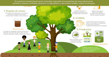 Inventario Nacional Forestal