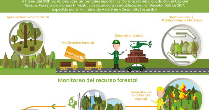 Sistema Nacional de Información Forestal