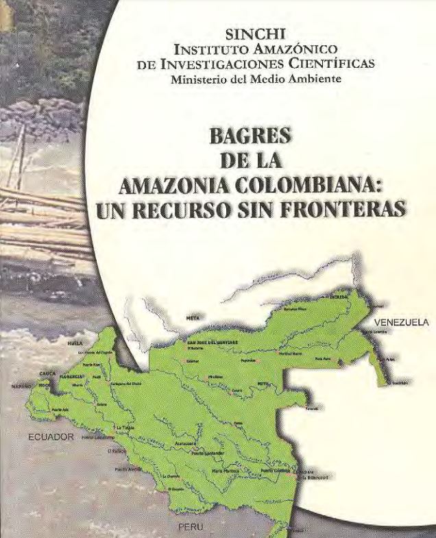 <div> <p>El libro <b>BAGRES DE LA AMAZONIA COLOMBIANA: UN RECURSO SIN FRONTERAS</b>, presenta información sobre el uso regional que se le da a los grandes y medianos bagres amazónicos, dentro de la amplia diversidad de peces de la amazonia colombiana, son trece bagres los que soportan gran parte del entrame socio-económico que beneficia a cientos de familias ribereñas (indígenas y colonas) a lo largo de los ríos Guaviare, Caquetá, Putumayo y Amazonas. Es una síntesis del acompañamiento realizado a las pesquerías de la región a lo largo de tres años de investigación desarrollada por el Instituto Amazónico de Investigaciones Científicas Sinchi y presenta información sobre los procesos sociales y económicos de la pesca de bagres, el entorno vivo y abiótico del elemento agua y la biología de los peces en cuanto al comportamiento alimentario, procesos reproductivos y los efectos que la pesca tiene dentro del ciclo de vida de estas especies.</p> </div>