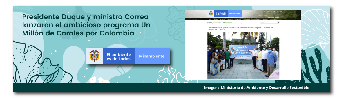 Presidente Duque y ministro Correa lanzaron el ambicioso programa "Un millón de corales por Colombia"