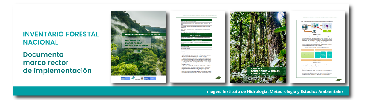 Documento marco rector de implementación del inventario forestal nacional
