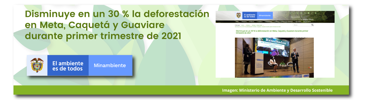 Disminuye en un 30 % la deforestación en Meta, Caquetá y Guaviare durante primer trimestre de 2021