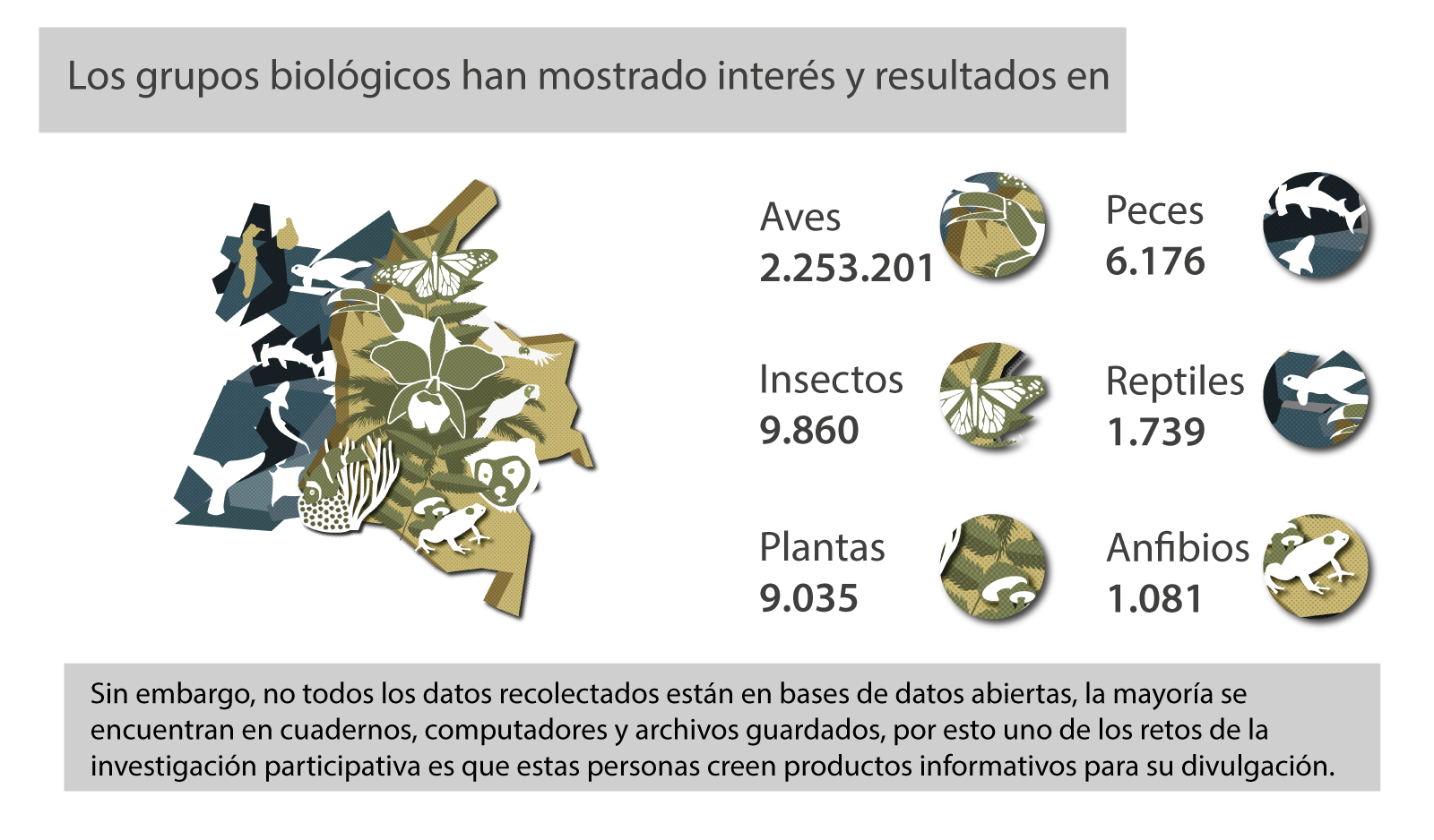 Participacón en investigación