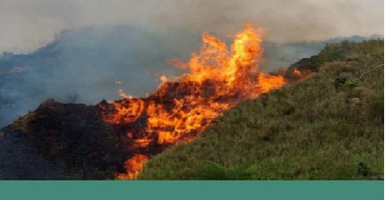 Prevención de incendios forestales