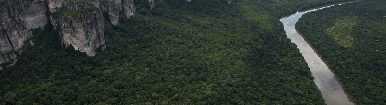 Gestión de información de negocios verdes