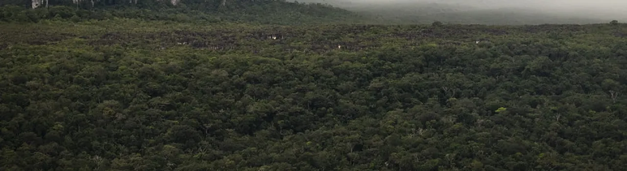 MAPA NACIONAL DE COBERTURAS DE LA TIERRA 2020