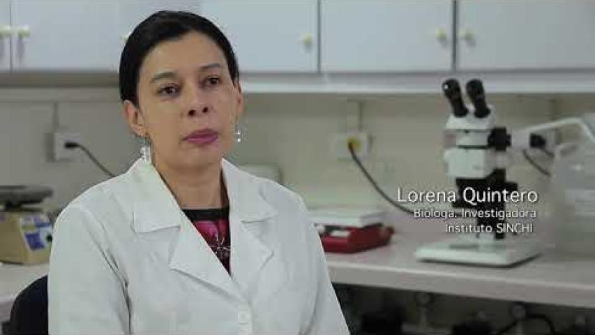 Preview image for the video "#AmazoniaSINCHI, Instituto Amazónico de Investigaciones Científicas, SINCHI".