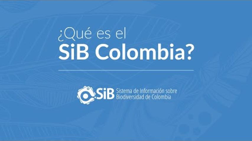 Preview image for the video "¿Qué es el SiB Colombia?".