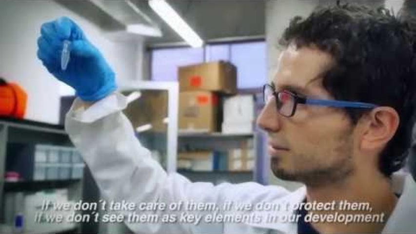 Preview image for the video "Video Institucional del INVEMAR".