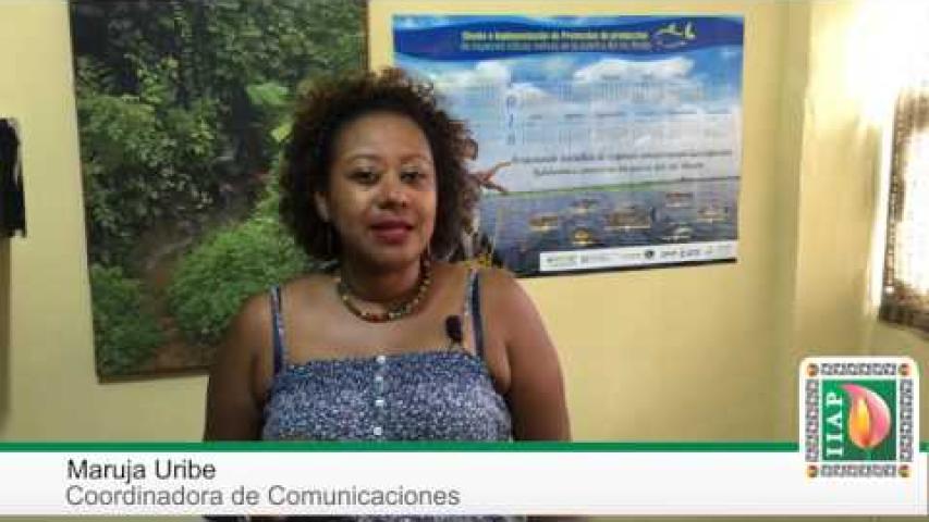 Preview image for the video "Bienvenidos al IIAP".