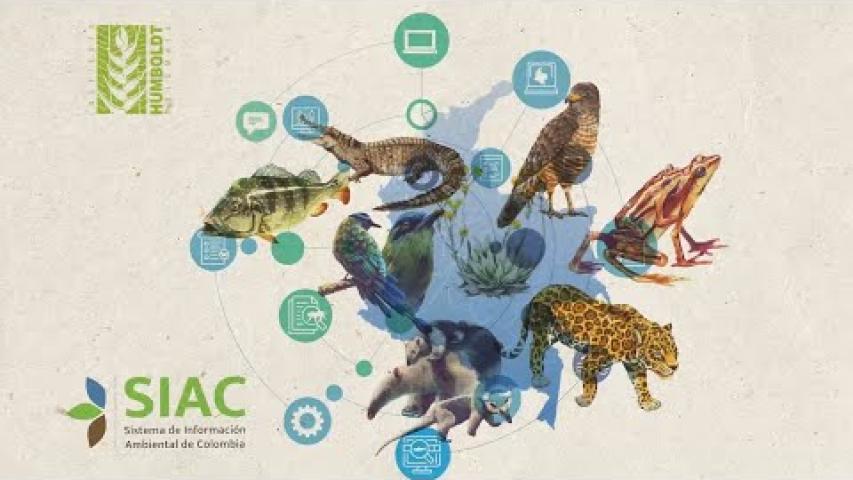 Preview image for the video "Sistema de Información Ambiental de Colombia - SIAC".
